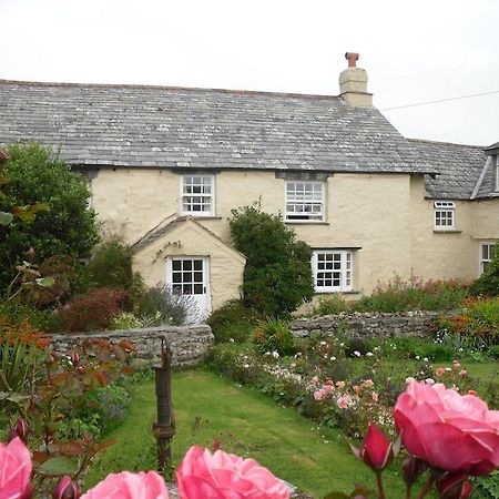 Higher Tresmorn Farm Bed & Breakfast Crackington Haven Luaran gambar