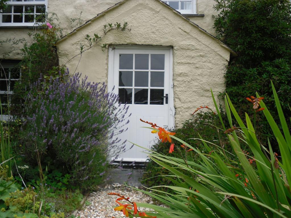 Higher Tresmorn Farm Crackington Haven Luaran gambar