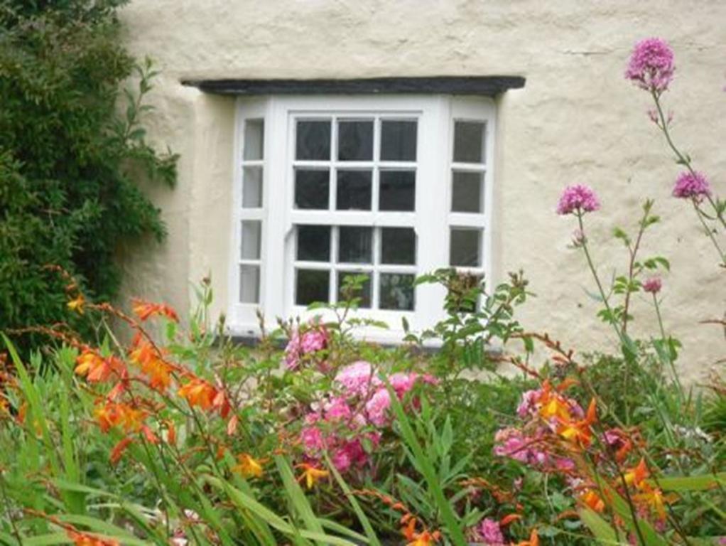 Higher Tresmorn Farm Bed & Breakfast Crackington Haven Luaran gambar
